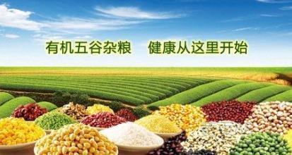 2016上海綠色有機食品展 客戶參考資料